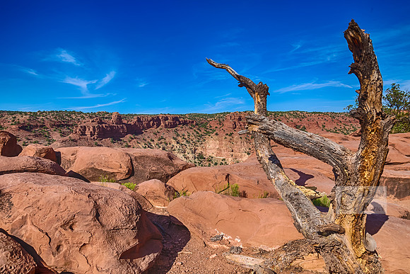 Capitol Reef-2
