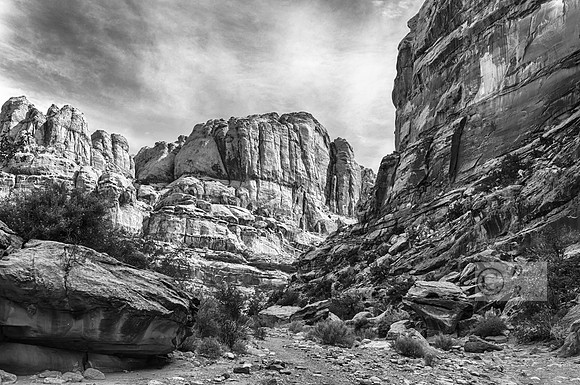 Capitol Reef-4