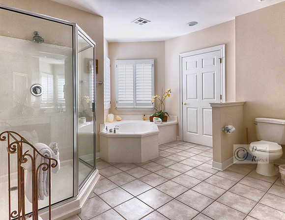 Master Bath 2